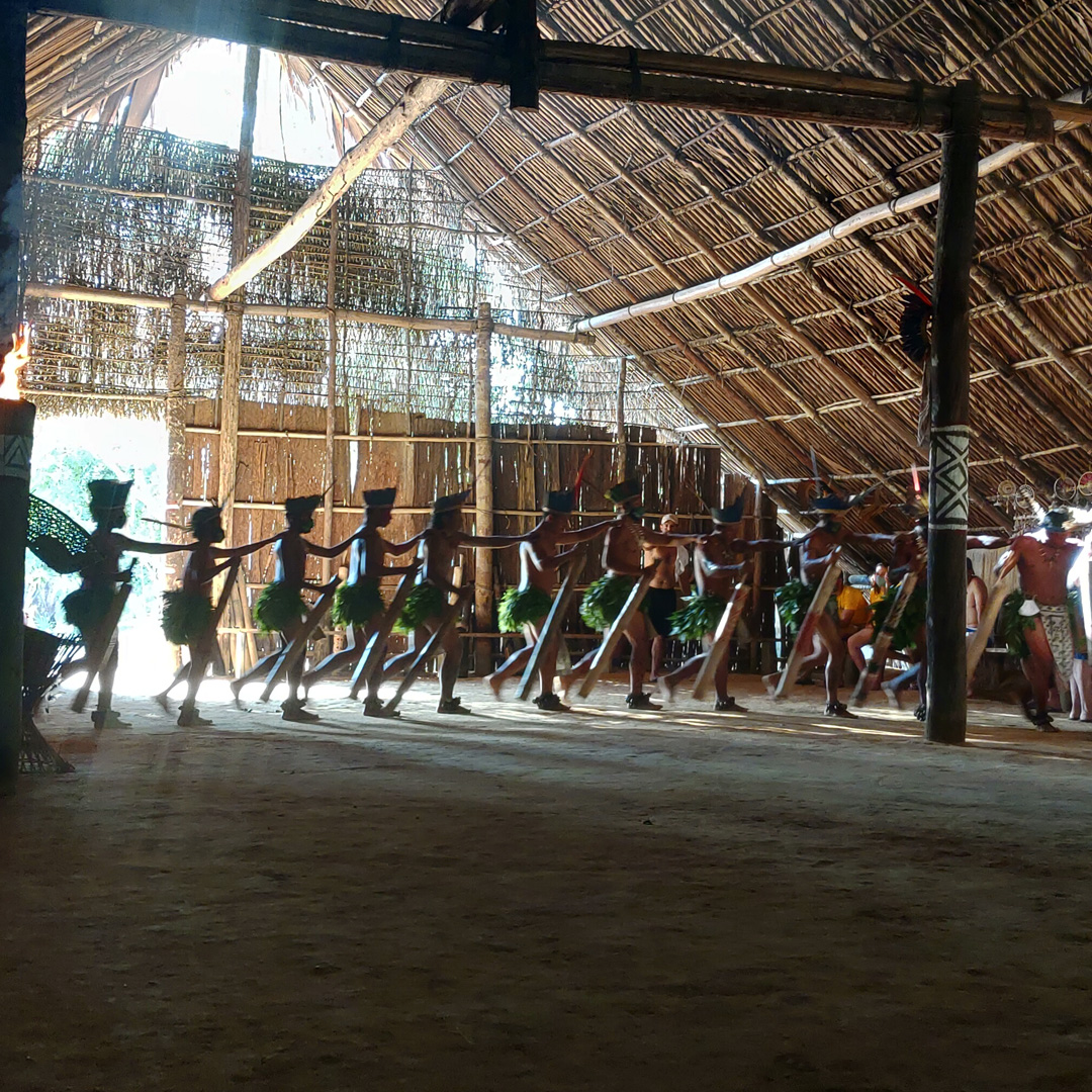 amazonia03